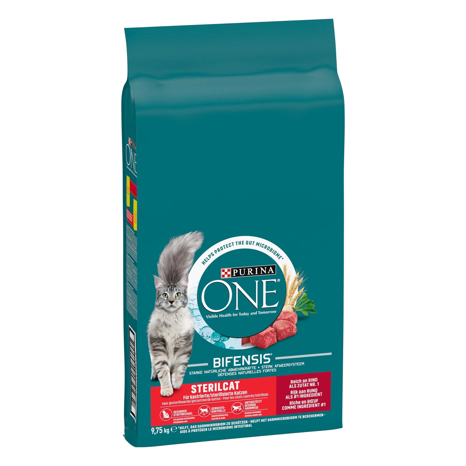 Purina ONE Sterilcat Bogata w wołowinę i pszenicę