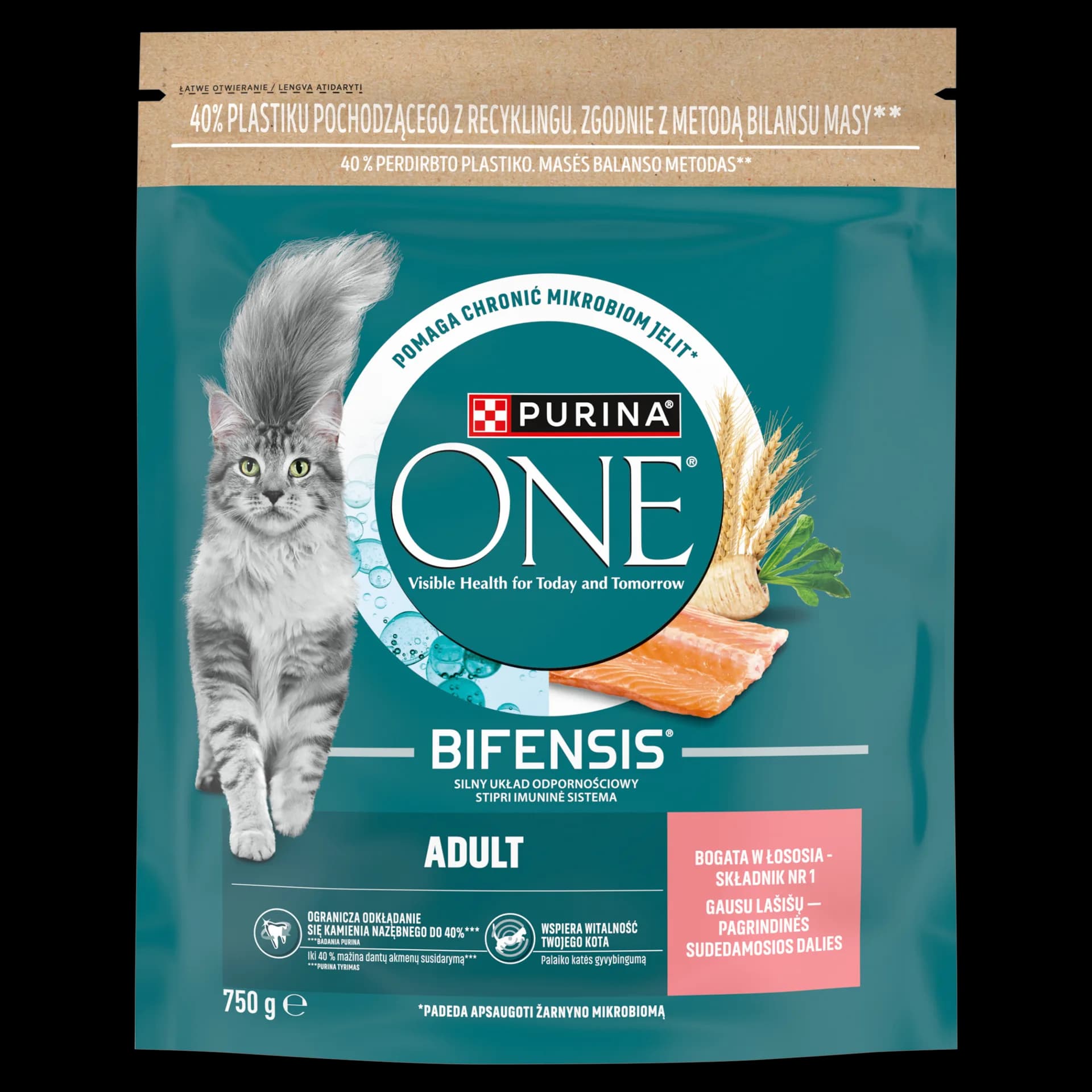 Purina ONE Bifensis Adult karma dla dorosłych kotów bogata w łososia 750 g