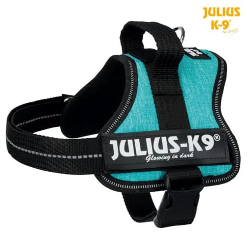 Julius K-9 Szelki Baby2 dla szczeniąt Niebieski