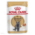 Royal Canin British Shorthair Adult 85g saszetka