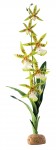 Hagen Roślina sztuczna – Orchidea Spider Orchid