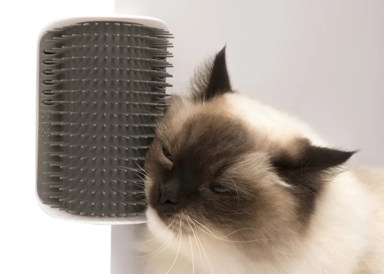 Hagen Szczotka dla kota Self Groomer montowana do ściany od