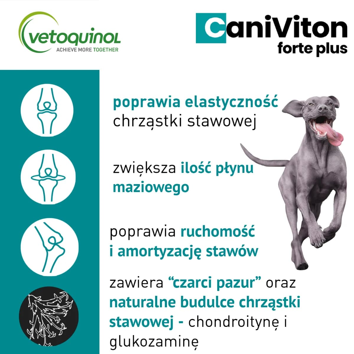 Vetoquinol Caniviton Forte Plus Karma uzupełniająca dla psa na poprawę elastyczności stawów różna ilość tabletek – 30