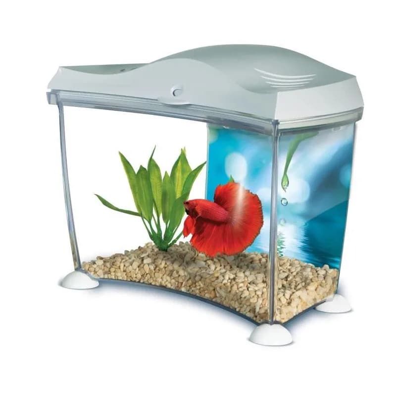 Marina Akwarium Betta