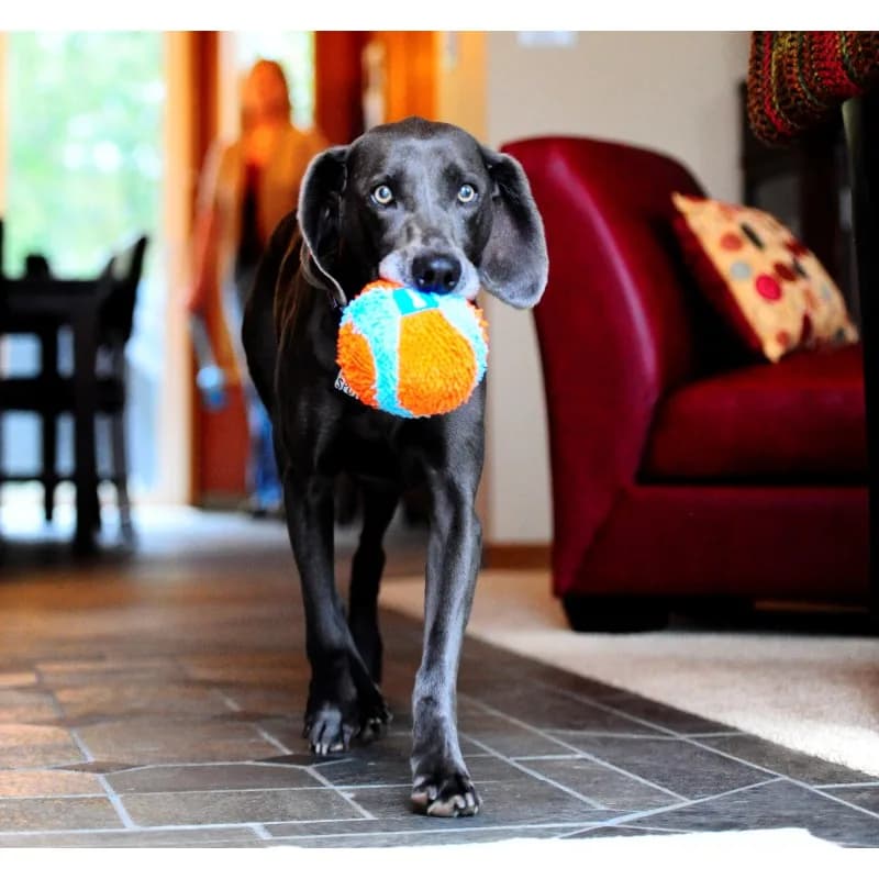 Chuckit ! Indoor Ball dla psa