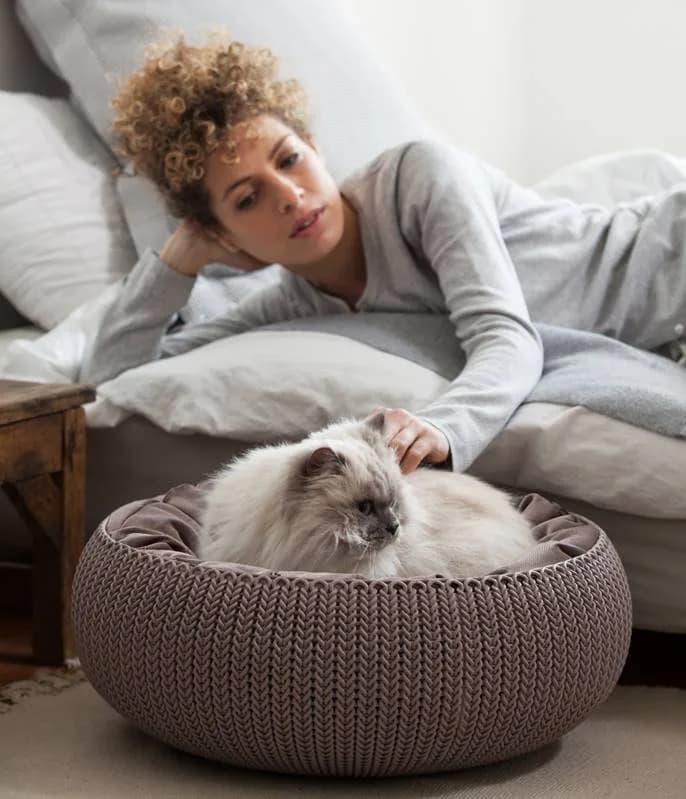 Curver Łóżko dla zwierząt Knit różne kolory Beżowy