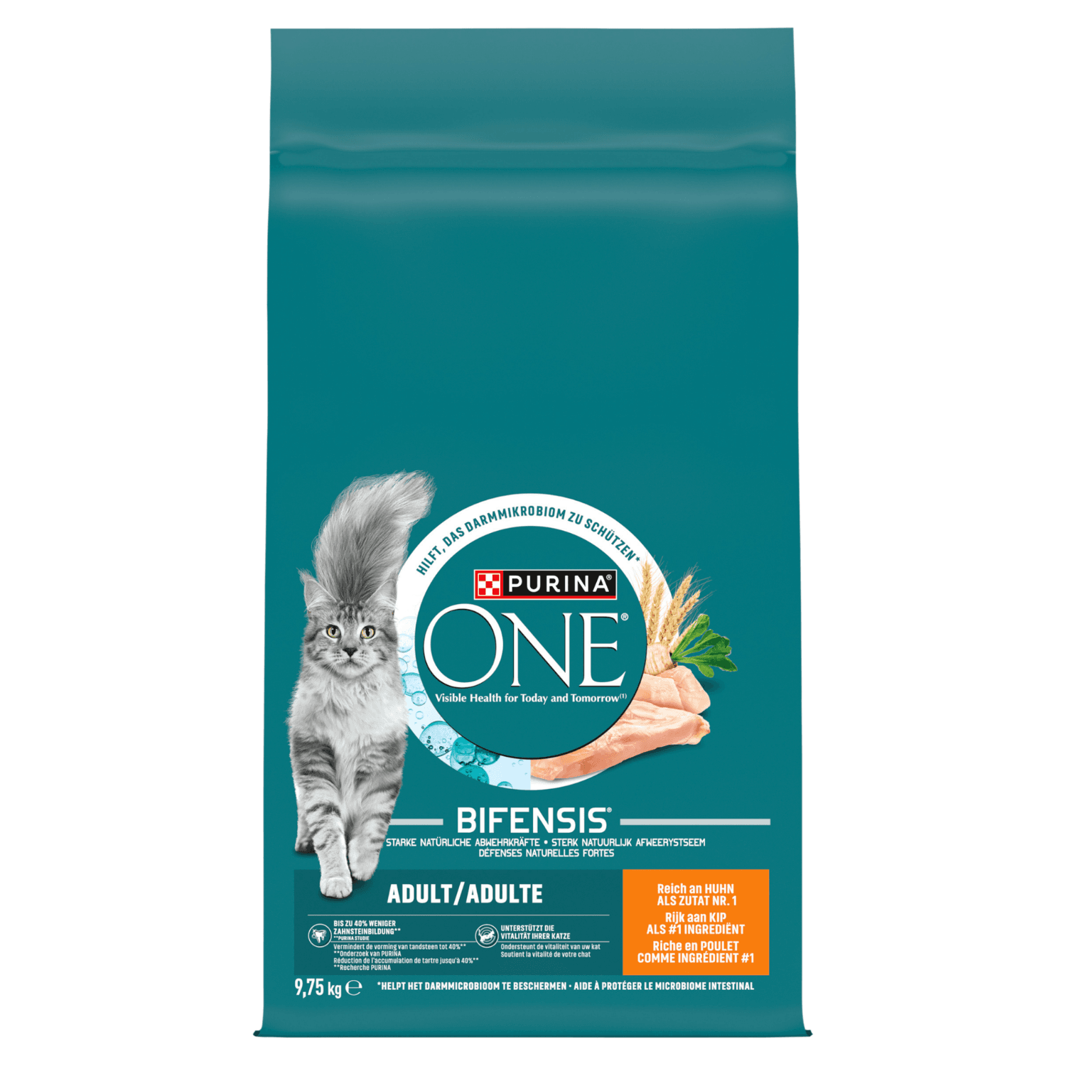 Purina ONE Adult Bifensis karma sucha z kurczakiem dla dorosłych kotów 9,75 kg