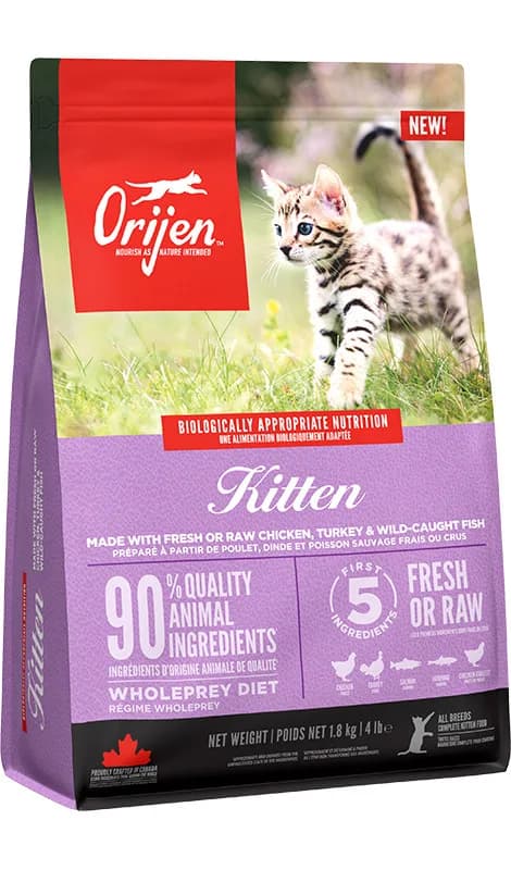 Orijen Kitten karma sucha dla kociąt