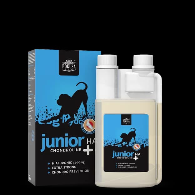 Pokusa Chondroline Junior + HA na stawy dla szczeniaka 500 ml