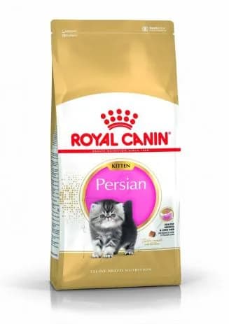 Royal Canin Persian Kitten karma sucha dla kociąt