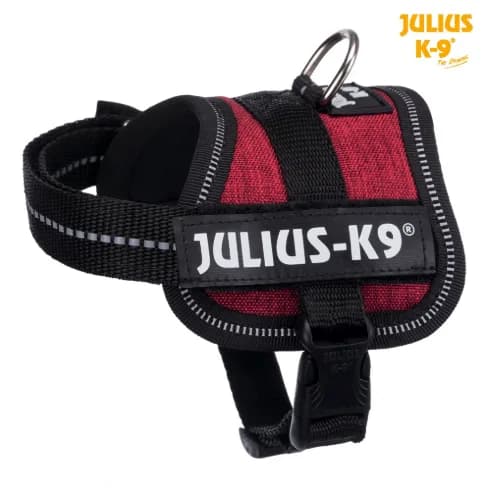 Trixie Szelki Julius-K9® Baby1 dla szczeniąt - różne kolory Burgund