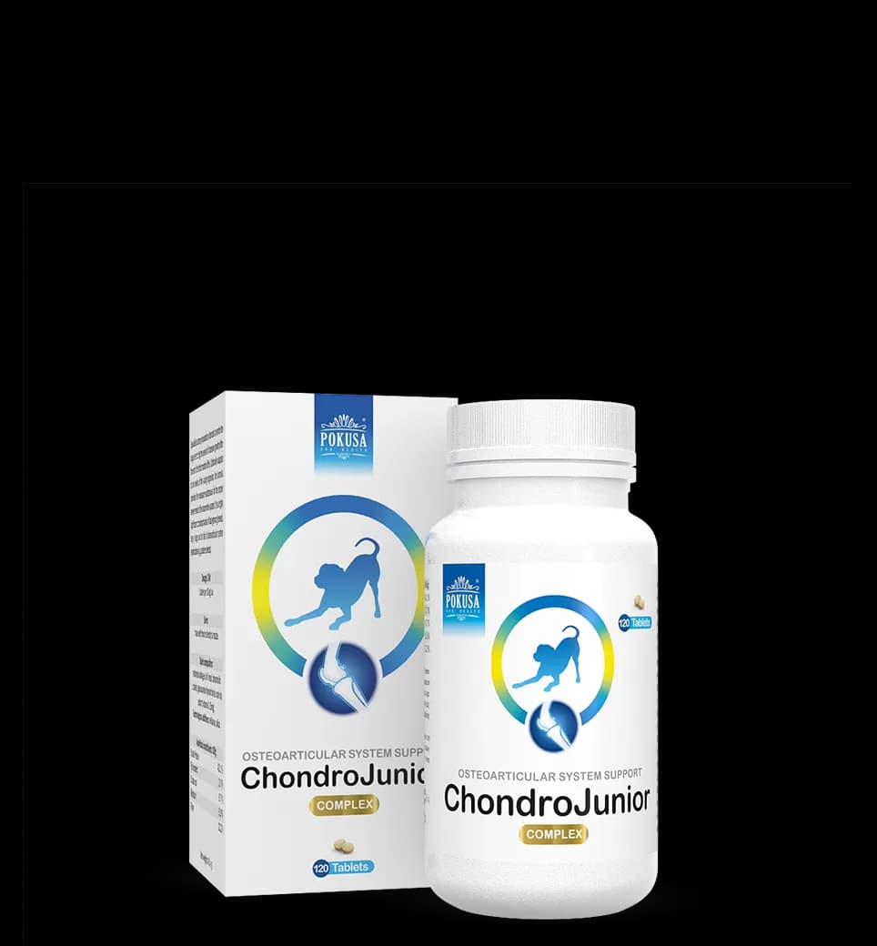 Pokusa Chondroline ChondroJunior na stawy dla szczeniaka 120 tabletek