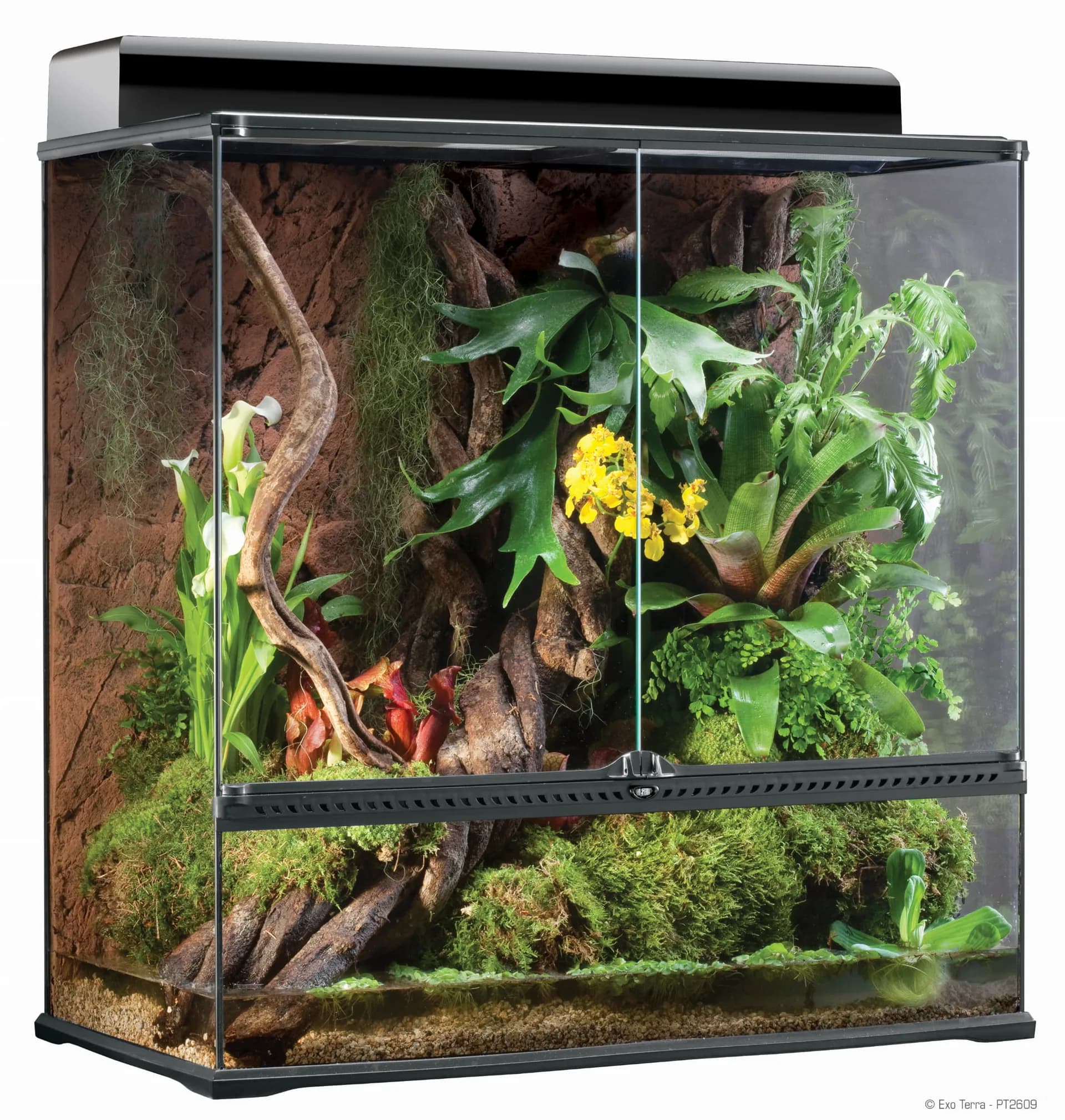 Exo-Terra Paludarium szklane Medium 60 x 45 x 90 cm