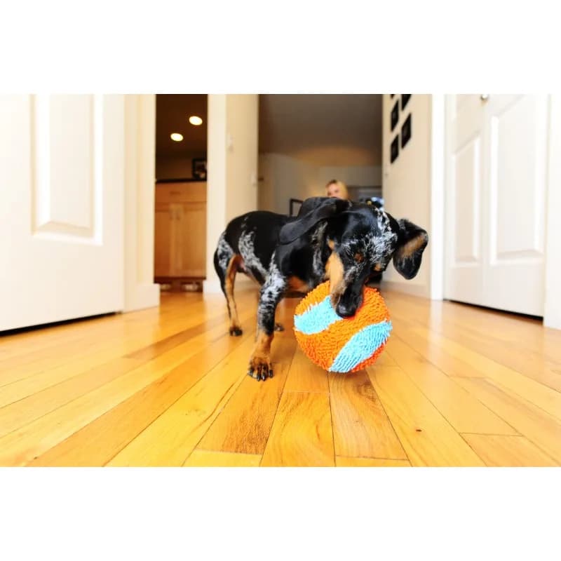 Chuckit ! Indoor Ball dla psa