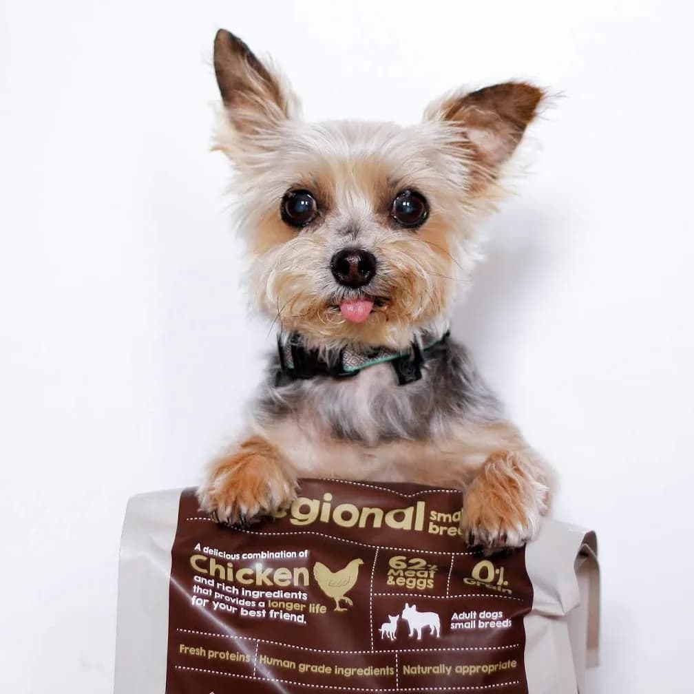 Naturea Grainfree Regional Small Breed karma sucha dla psów małych ras kurczak wagi 2 kg