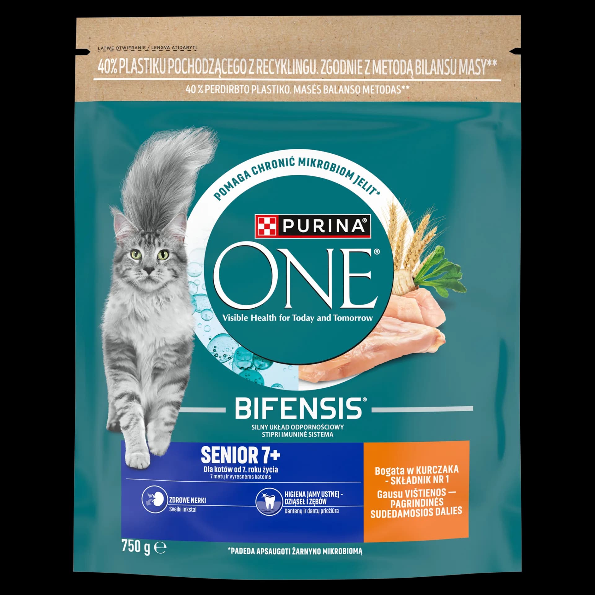 Purina ONE Bifensis Senior 7+ karma sucha dla dorosłych kotów bogata w kurczaka 750 g
