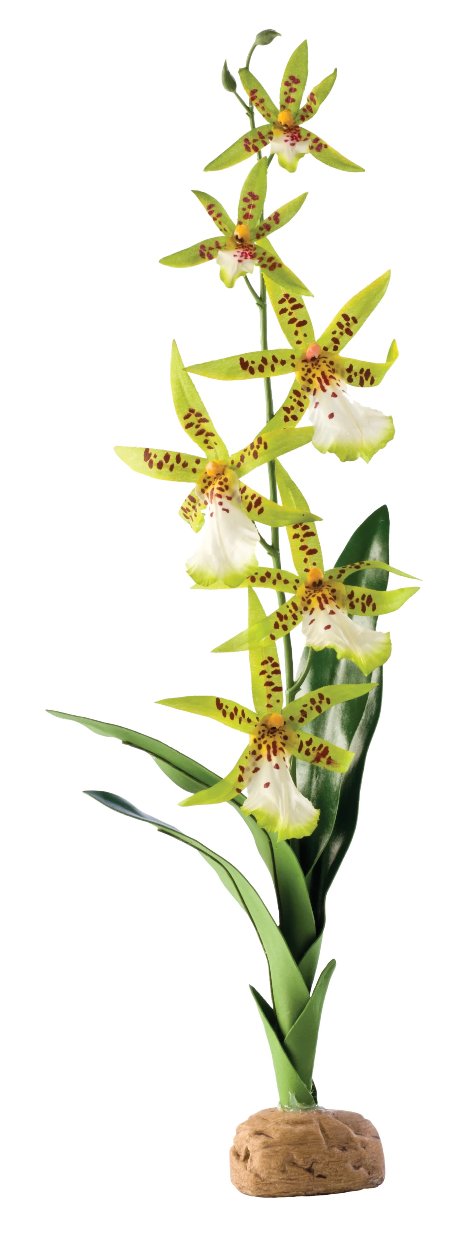 Exo-Terra Roślina sztuczna Orchidea Spider Orchid