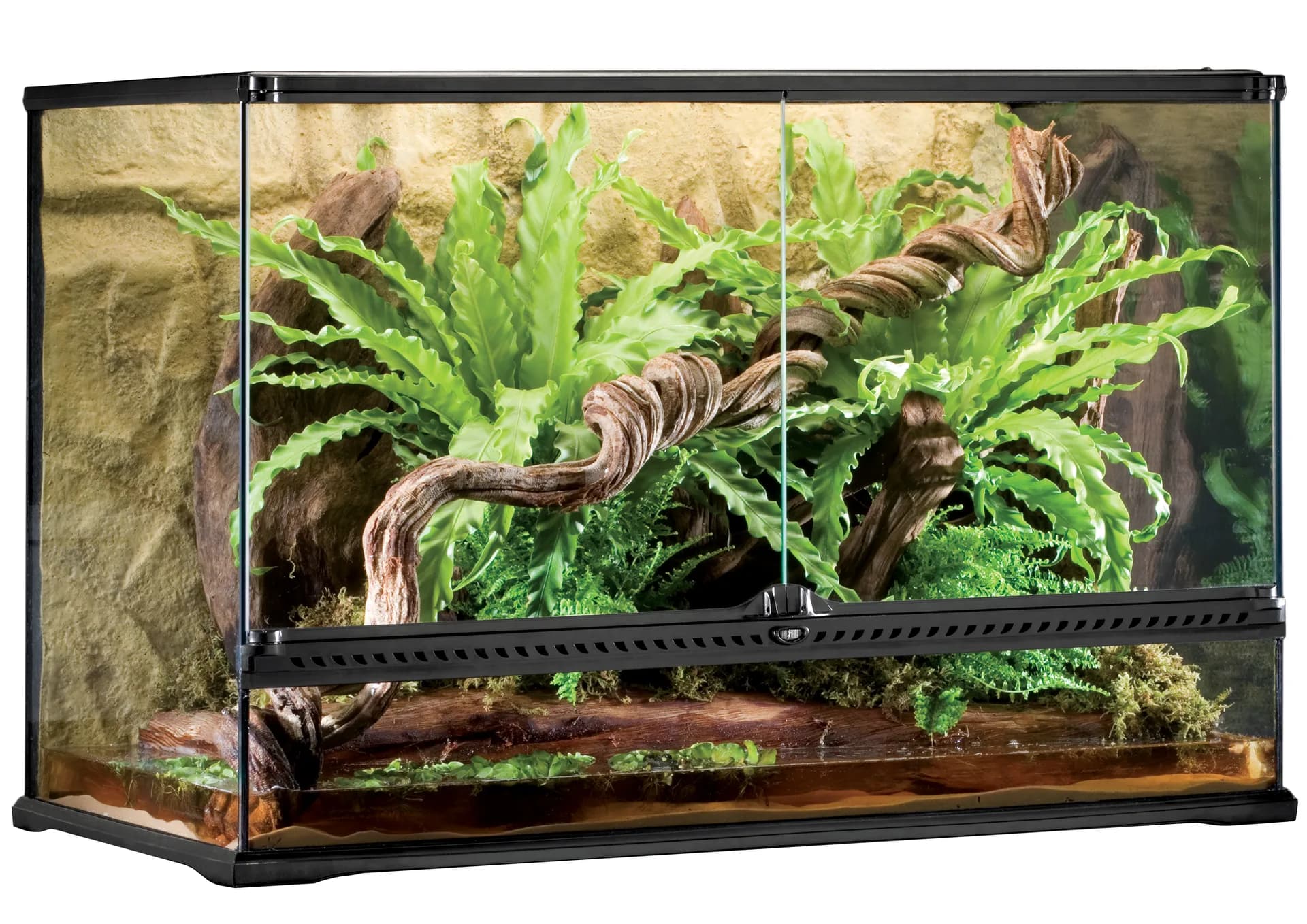 Exo-Terra terrarium szklane Large wysokie