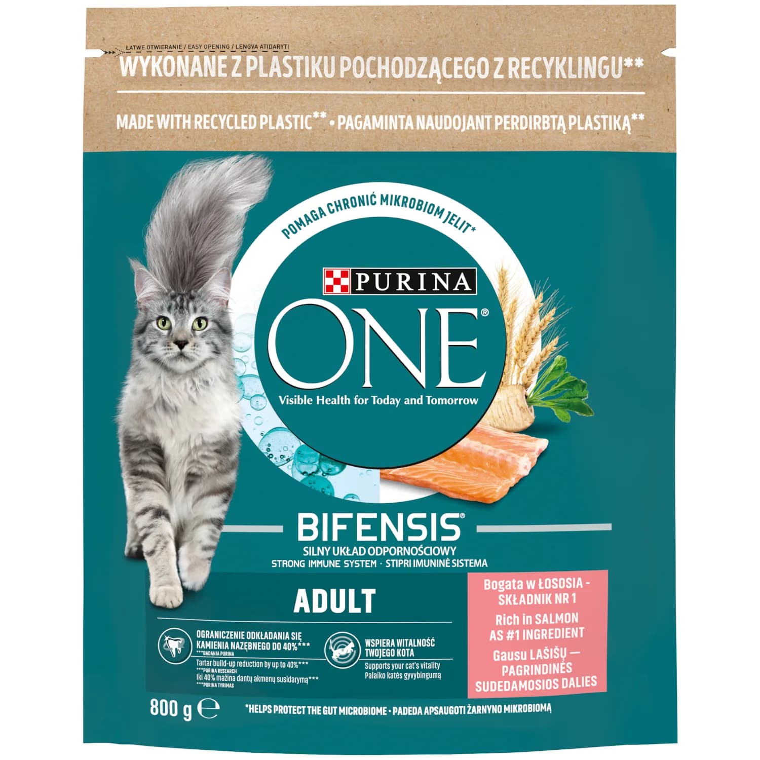 Purina ONE Adult Bogata w łososia i pełne ziarna 800 g