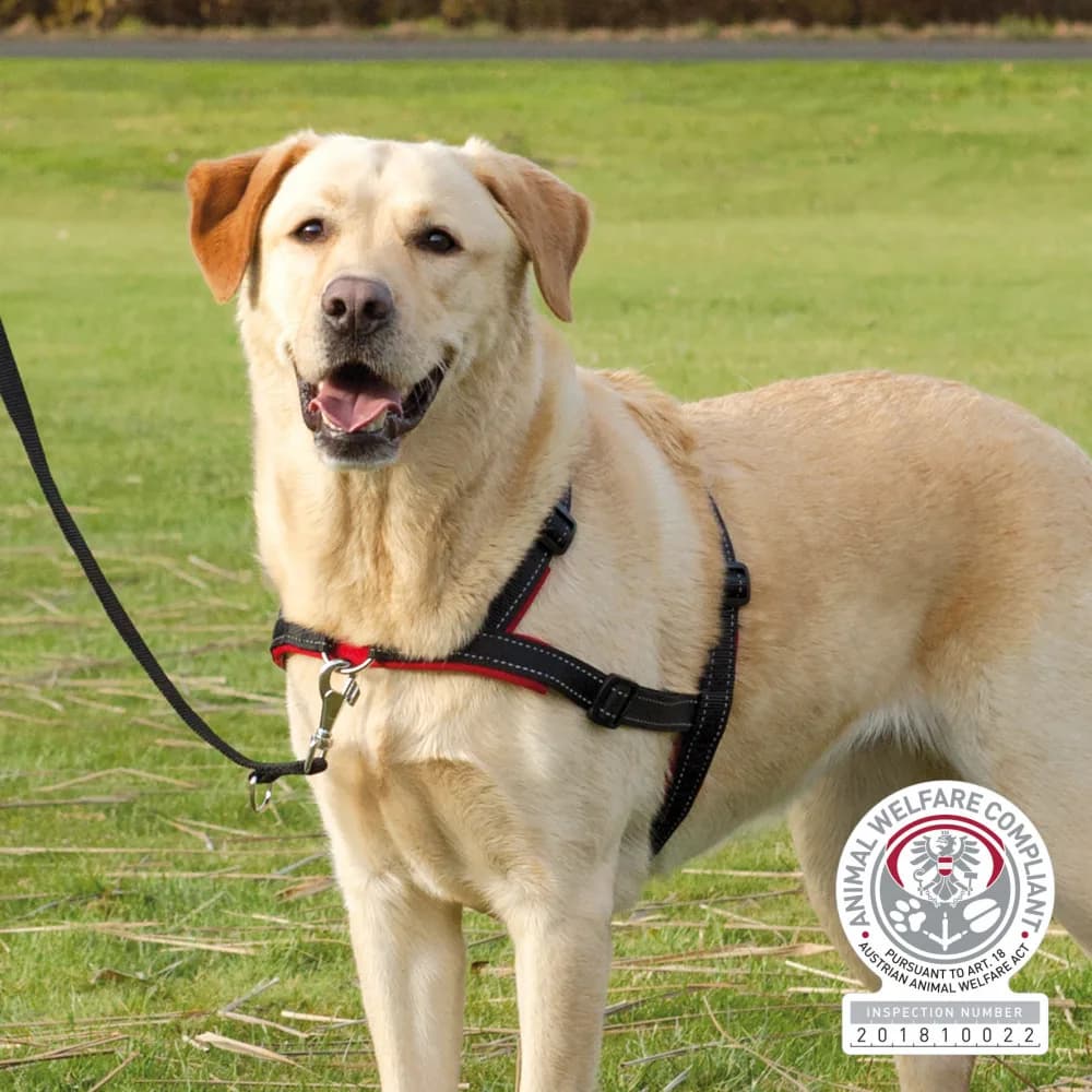 Trixie Lead'n'Walk Soft Szelki treningowe – czarny, S-M
