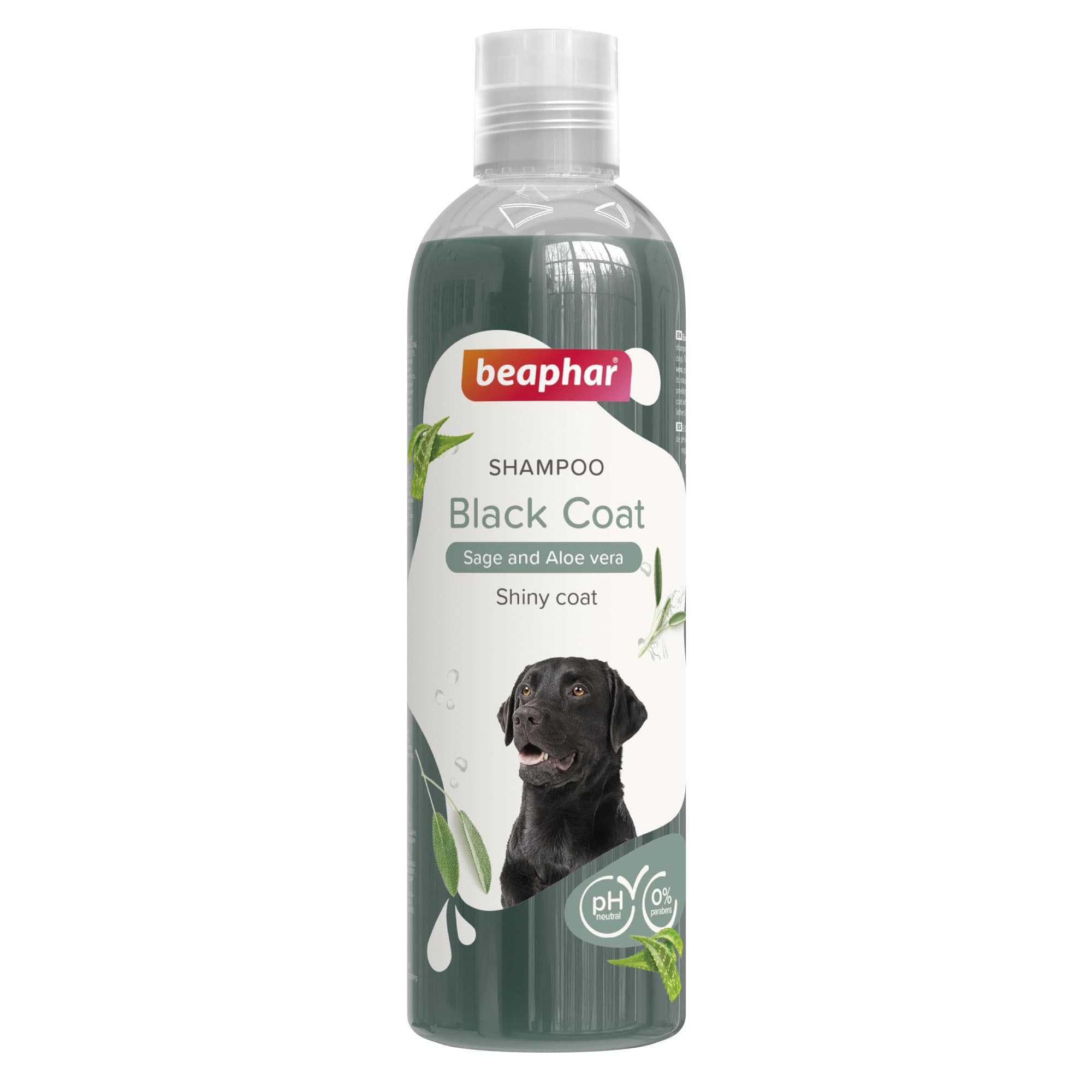 Beaphar Shampoo Black Dog szampon do ciemnej sierści dla psów 250 ml