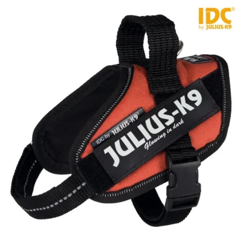 Julius K-9 Szelki Idc dla psów – czarny, M / 0