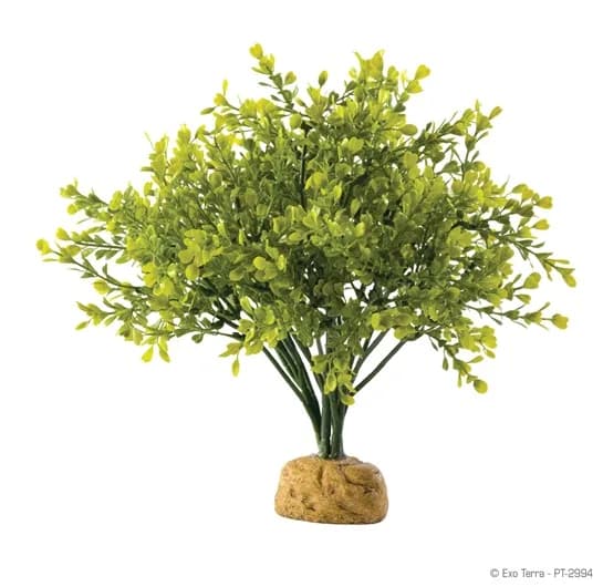 Exo-Terra Roślina sztuczna Boxwood Bush