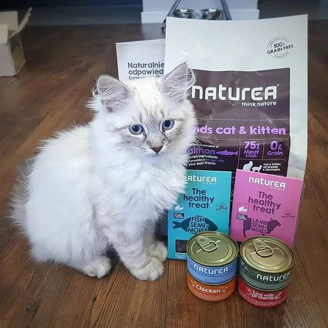 Naturea Grainfree Lands Cat And Kitten karma sucha dla kota 7 kg