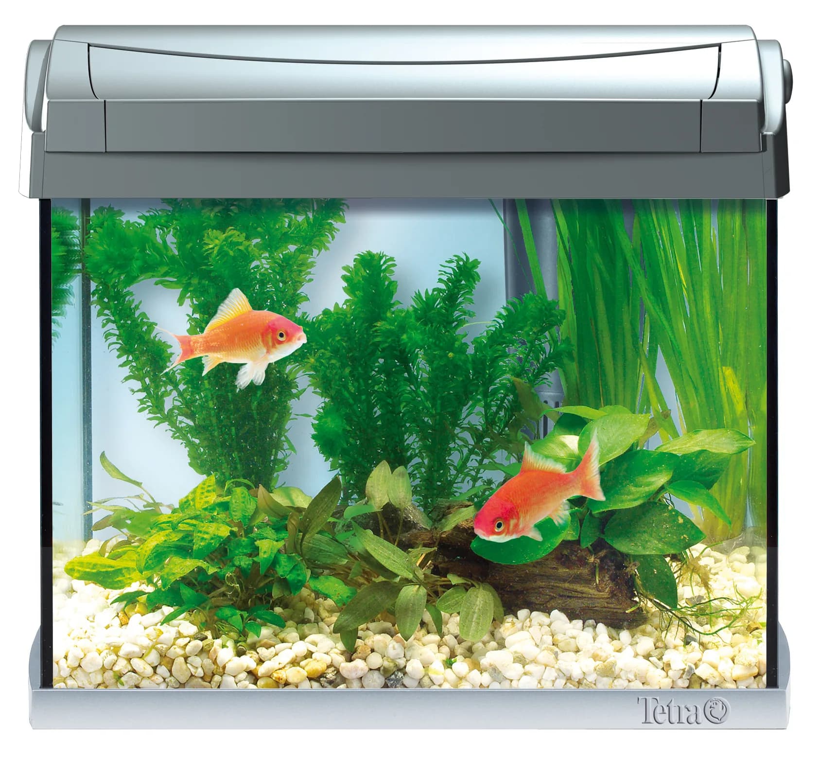 Tetra AquaArt Discover Line Complete Set Zestaw akwariowy Srebrny 30 l