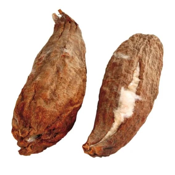 Trixie Szarpanka do gniazdka włókno bawełniane/ / 50 g 1,5 kg