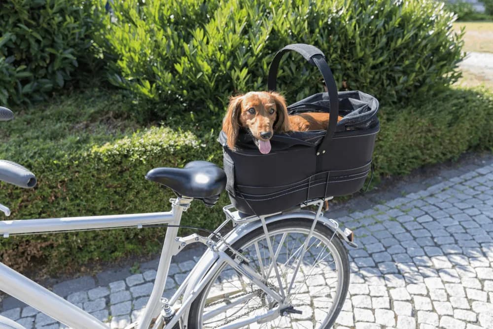 Trixie Kosz na rower dla psa na szerokie bagażniki rowerowe
