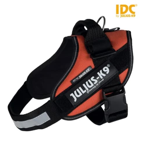 Julius K-9 Szelki Idc dla psów – żółty, M / 0