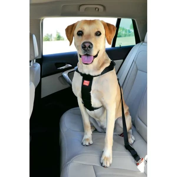 Zolux szelki bezpieczeństwa do samochodu dla psa – S