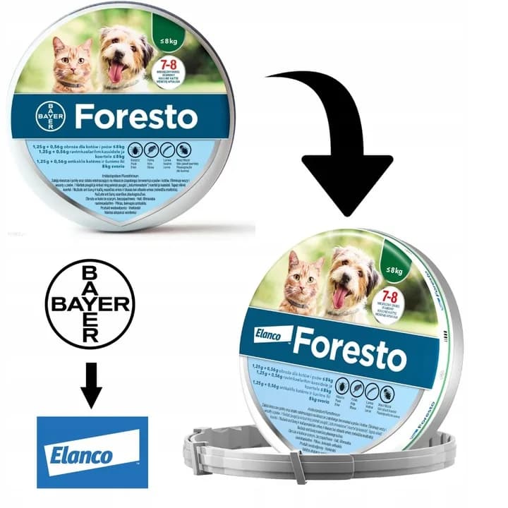 Elanco Foresto obroża przeciw kleszczom i pchłom dla psa i kota – dla kota i małego psa do 8 kg
