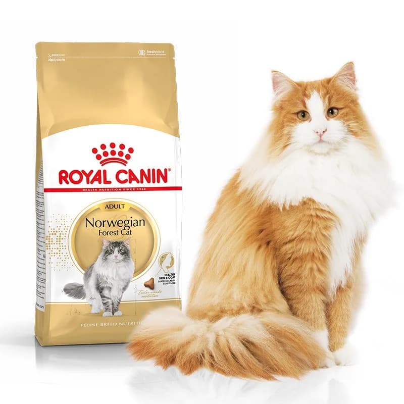 Royal Canin Norwegian Forest Cat Adult – 400 g