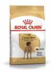 Royal Canin Great Dane Adult, psy dorosłe rasy dog niemiecki, 12 kg
