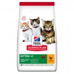 Hill's Feline Science Plan Kitten kurczak 300 g