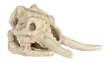 Trixie Zestaw czaszek - 8 - 11 cm/ 6 sztuk