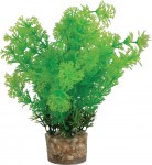 ZOLUX  Roślina dekoracyjna do akwarium 20 cm 