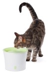 Fontanna wodna Catit Fresh & Clean dla kota od Hagen