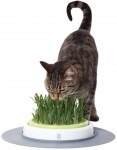 Zestaw do trawy ogrodowej Catit Senses dla kota od Hagen