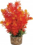 ZOLUX  Roślina dekoracyjna do akwarium 20 cm 
