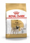 Royal Canin Pug Adult 0,5/1,5 kg