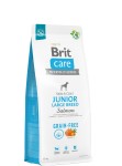 Brit Care Dog Grain-free Junior Large Breed Salmon sucha karma dla psa z łososiem i ziemniakami - różna waga