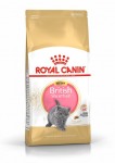 Royal Canin British Shorthair Kitten 0,4/2/10 kg