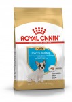Royal Canin French Bulldog Junior 1/3 kg