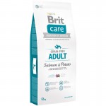 Brit Care Grain-free Adult Salmon & Potato 1/3/12kg
