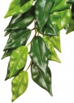 Hagen Roślina sztuczna – Silk Ficus - różne rozmiary