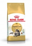 Royal Canin Maine Coon 0,4/2/4/10 kg