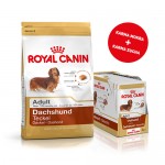 Royal Canin Dachshund Adult  1,5kg + 12x85g